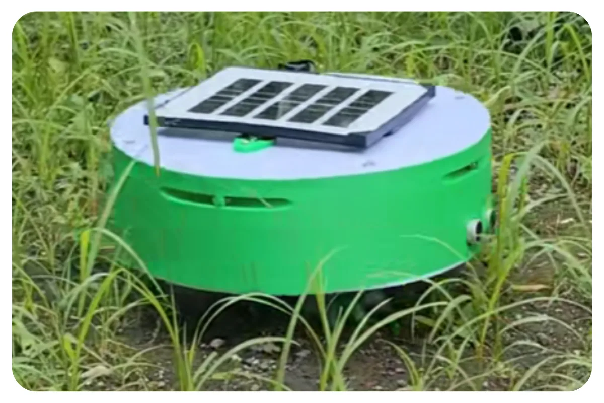 Weed Eradication Robot